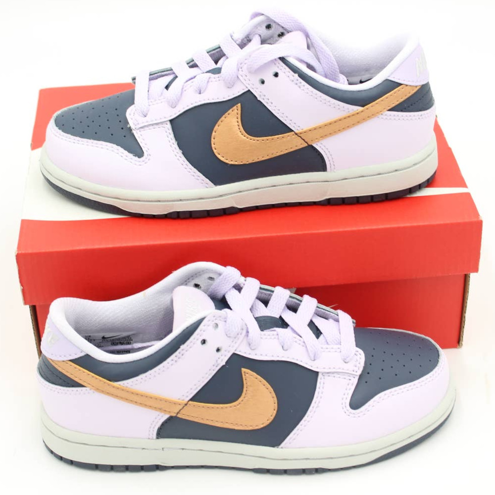Nike Dunk Low SE Copper Swoosh (PS) Size 1Y Style DX1664 400